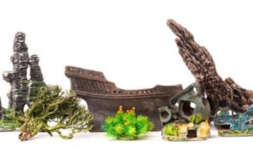 accessori per rendere confortevole un acquario, piante rocce e pietre naturali