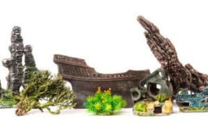 accessori per rendere confortevole un acquario, piante rocce e pietre naturali