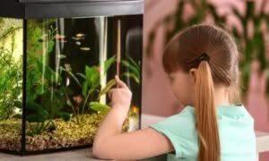 Scegliere di fare un acquario in casa è una scelta impegnativa soprattutto per gli acquari di acqua salata