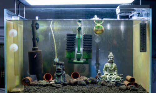 Pietre naturali, statue rocce e piante che servono per allestire l'acquario